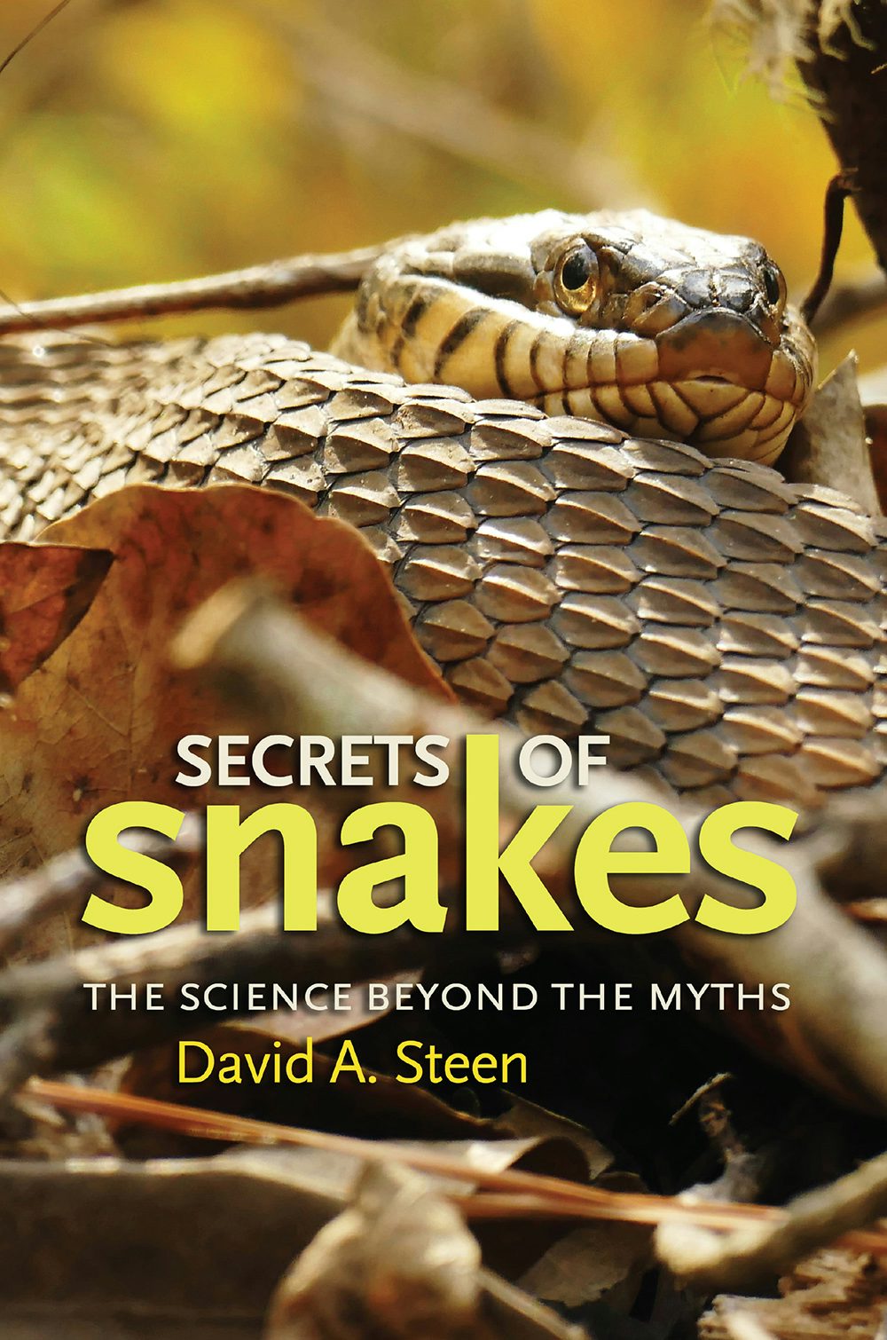 Cover for Secrets of Snakes