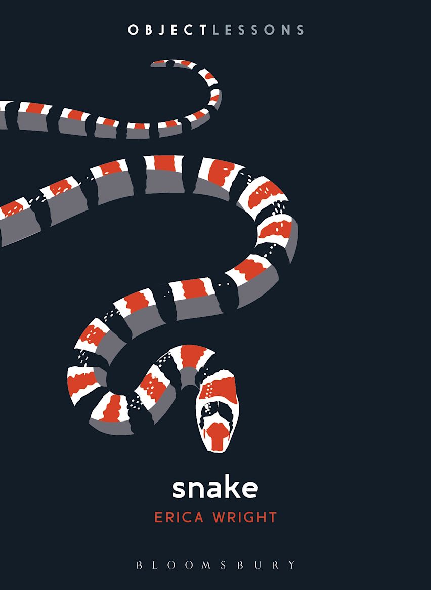 Cover for Snake